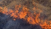 Предупреждение лесных и степных пожаров